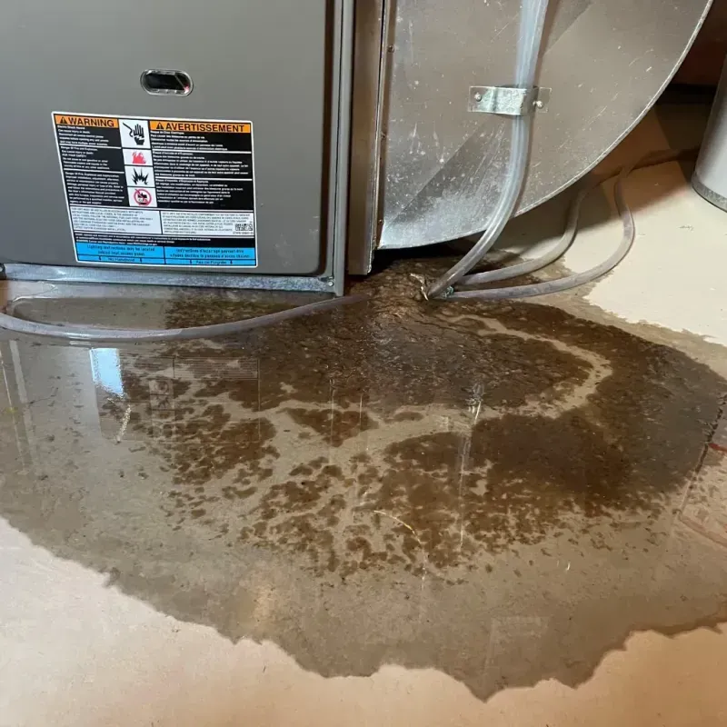 Appliance Leak Cleanup in Ellettsville, IN